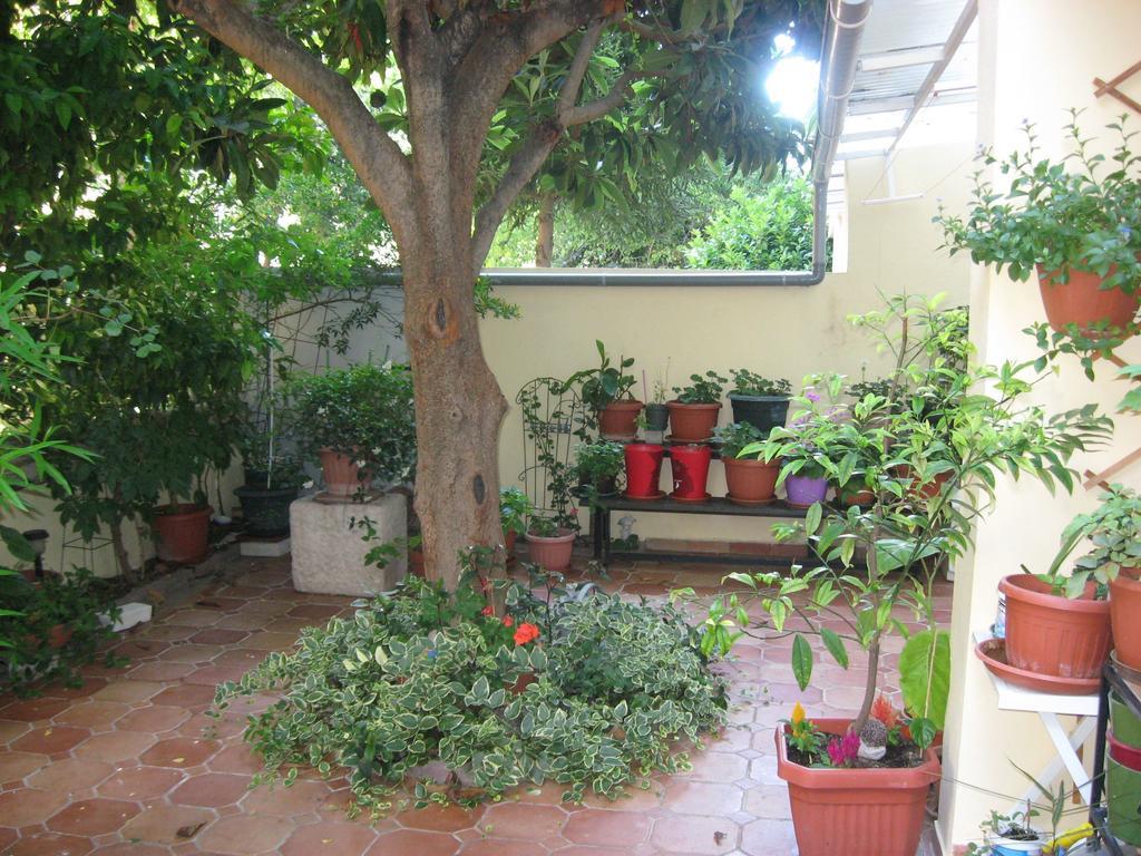 ספליט Studio Antonio חדר תמונה